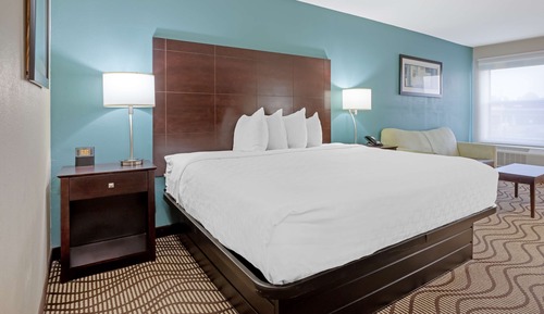 Standard Room, 1 King Bed, Non Smoking, Refrigerator & Microwave (Larger Room;with Sofabed)