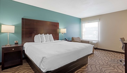 Standard Room, 1 King Bed, Non Smoking, Refrigerator & Microwave