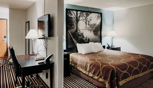 Executive Room, 1 King Bed with Sofa bed