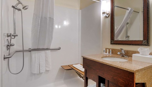 Suite, 1 King Bed with Sofa bed, Accessible, Non Smoking