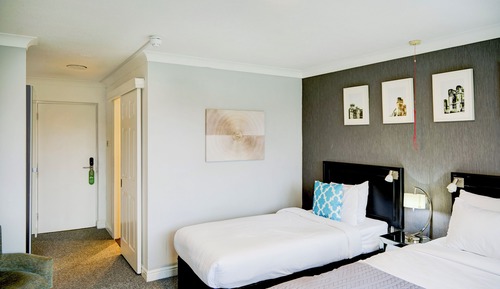 Family Room, Multiple Beds