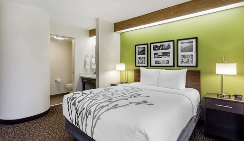 Standard Room, 1 Queen Bed, Non Smoking