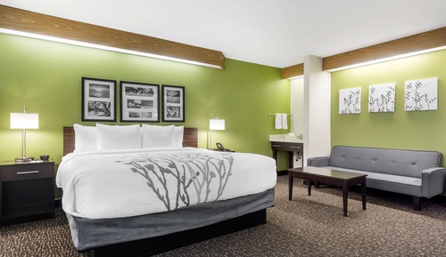 Suite, 1 Queen Bed, Accessible, Non Smoking