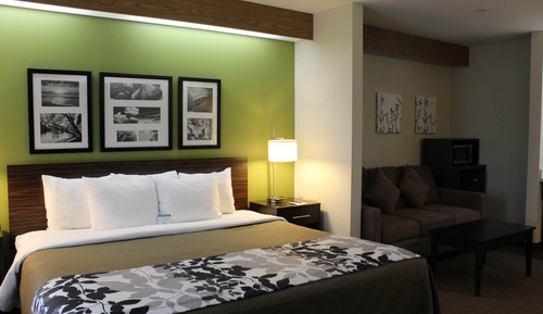Room, 1 King Bed with Sofa bed, Accessible, Non Smoking (Upgrade)