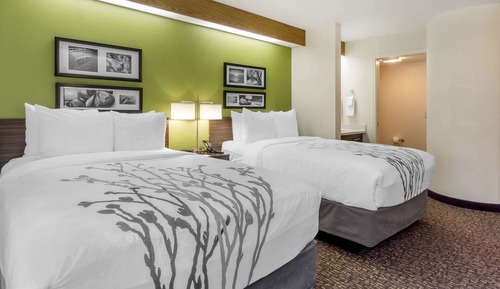 Double Room, 2 Double Beds, Non-Smoking, Refrigerator & Microwave