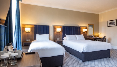 Family Room, Multiple Beds