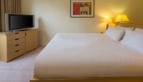 Business Room, 1 Double Bed (Deluxe)