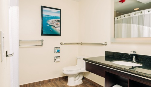 Standard Room, 1 King Bed, Accessible (Roll-In Shower)