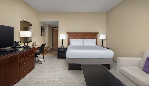 Standard Room, 1 King Bed with Sofa bed, Non Smoking