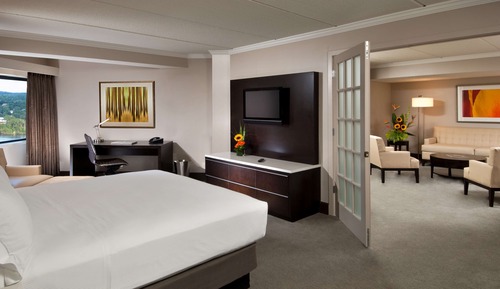 Suite, 1 King Bed