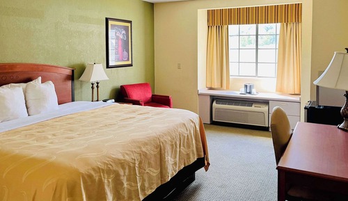 Standard Room, 1 King Bed, Non Smoking