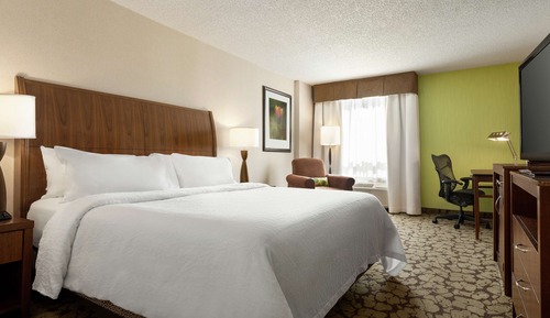 Room, 1 King Bed, City View