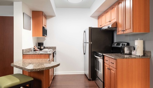 Suite, 1 Bedroom (1 King Bed plus Sofa bed)