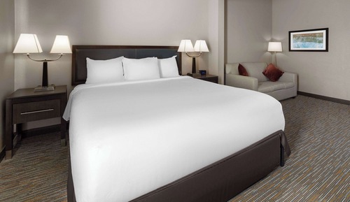 Room, 1 King Bed with Sofa bed, Non Smoking