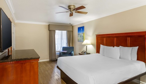 Standard Room, 1 King Bed, Non Smoking, Jetted Tub