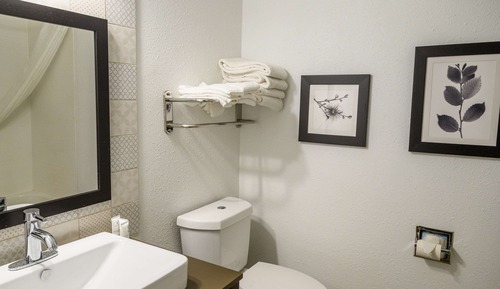 Studio Suite, 1 King Bed with Sofa bed, Non Smoking