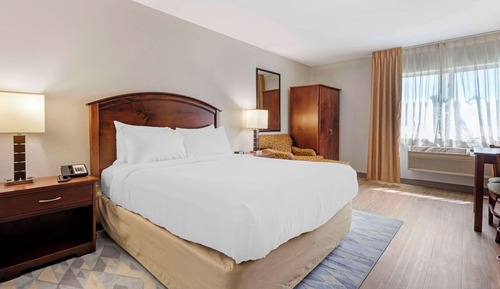 Room, 1 Queen Bed, Accessible, Non Smoking (Roll-In Shower)