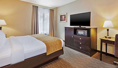 Standard Room, 1 King Bed, Non Smoking