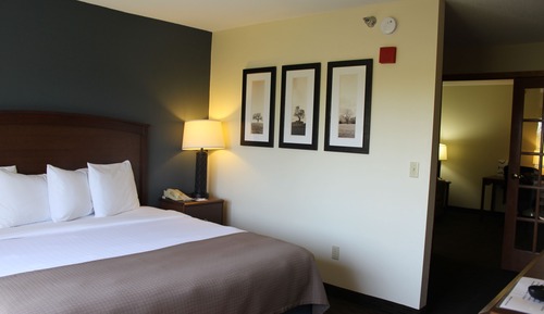 Studio Suite, 1 King Bed, Non Smoking