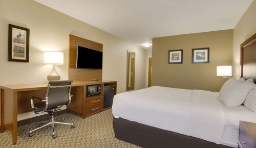 Standard Room, 1 King Bed, Non Smoking