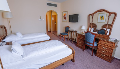 Business Twin Room with Air-Conditioning