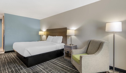 Standard Room, 1 King Bed, Non Smoking, Refrigerator & Microwave
