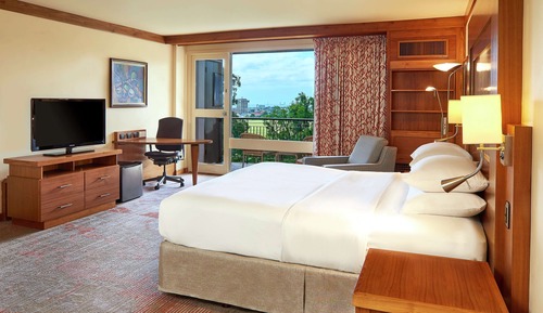 Room, 1 King Bed, Accessible (Shower)