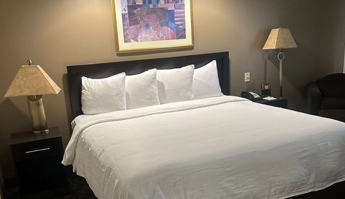 Suite, 1 King Bed with Sofa bed, Non Smoking