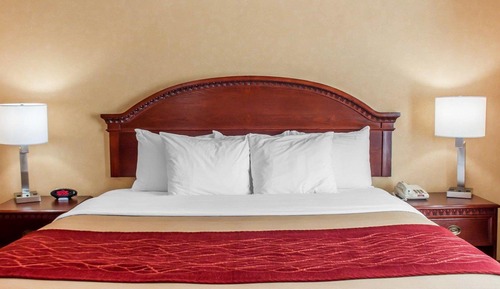 Standard Room, 1 King Bed, Non Smoking