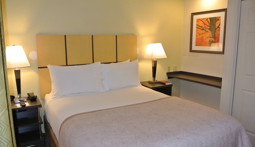 Suite, 1 Bedroom