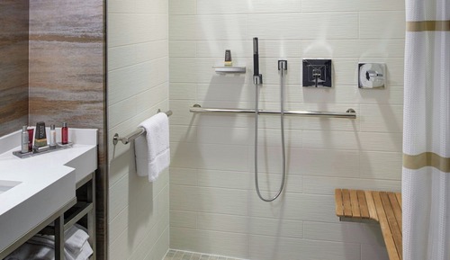 Room, 1 King Bed with Sofa bed, Non Smoking (Mobility Accessible, Roll-In Shower)