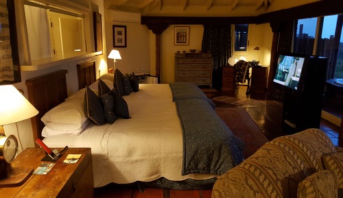 Premium Suite
