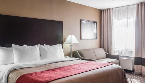 Standard Room, 1 King Bed with Sofa bed, Non Smoking