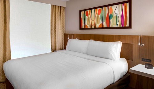 Suite, 1 Bedroom, Accessible (Mobility & Hearing, Roll-In Shower)
