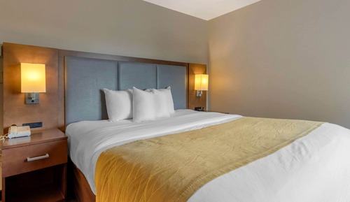 Room, 1 King Bed, Non Smoking
