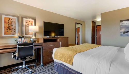 Standard Room, 1 King Bed, Non Smoking