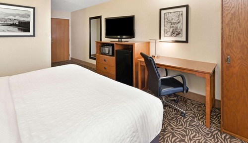 Room, 1 King Bed, Non Smoking