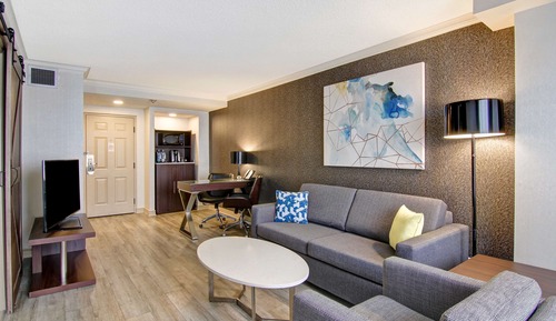 Lifestyle Suite, 1 Queen Bed with Sofa Bed, Accessible