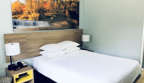 Room, 1 Queen Bed, Non Smoking