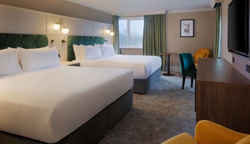 Room, Multiple Beds