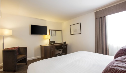 Room, 1 King Bed