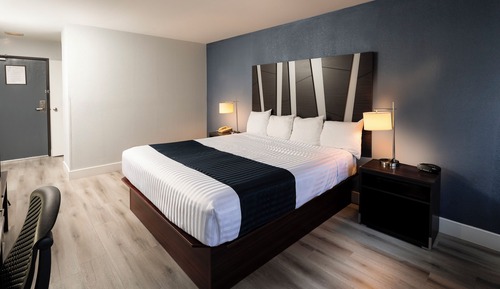 Standard Room, 1 King Bed, Non Smoking