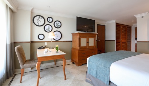 Room, 1 King Bed