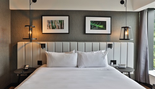Room, 1 Queen Bed