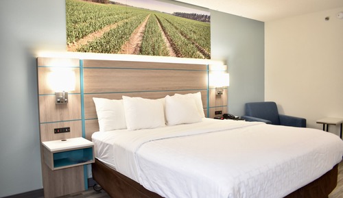 Room, 1 King Bed, Accessible, Non Smoking (Roll-in Shower)