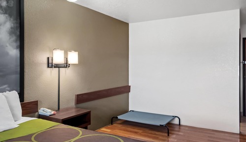 Room, 1 Queen Bed, Non Smoking (Pet-Friendly)