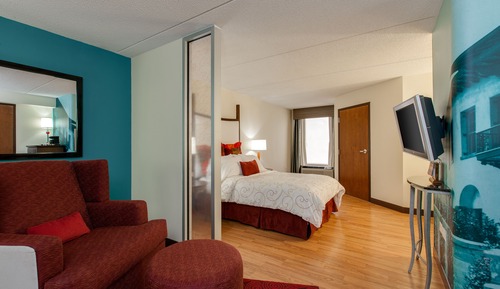 Standard Room, 1 King Bed with Sofa bed