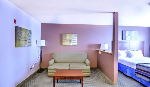 Standard Room, 1 King Bed, Accessible, Bathtub (with Sofabed)