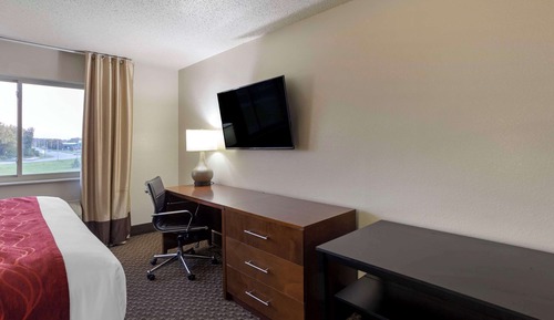 Room, 1 King Bed, Non Smoking