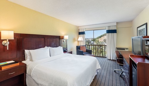 Room, 1 King Bed, Non Smoking
